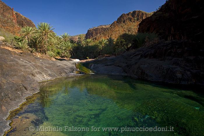 A lush small freshwater pool in a wadi, Socotra, Yemen.jpg